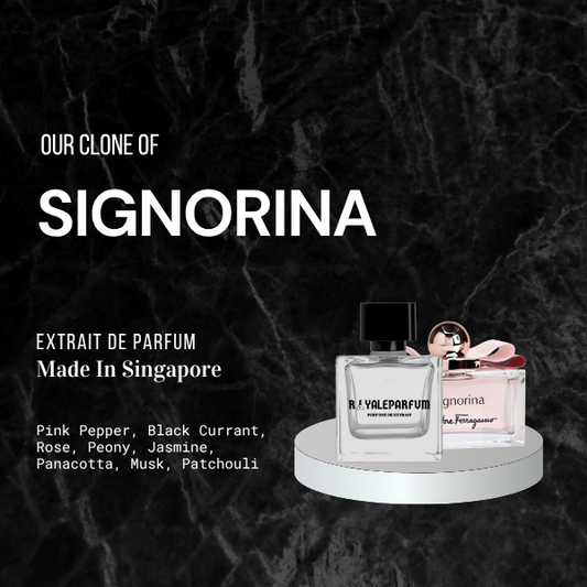 SIGNORINA CLONE | ROYALEPARFUMOFFICIAL