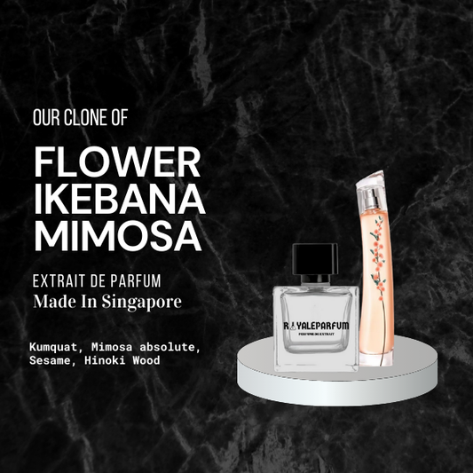 FLOWER IKEBANA MIMOSA CLONE | ROYALEPARFUMOFFICIAL