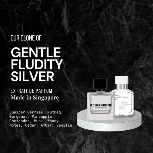 GENTLE FLUDITY SILVER CLONE | ROYALEPARFUMOFFICIAL
