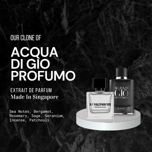 ACQUA DI GIO PROFUMO CLONE | ROYALEPARFUMOFFICIAL