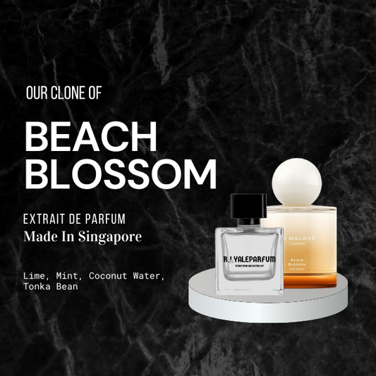 BEACH BLOSSOM CLONE | ROYALEPARFUMOFFICIAL